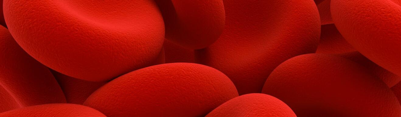 SNM News ¦ ADMED crée une unité de médecine transfusionnelle - N°103