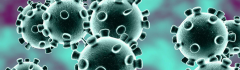 SNM News ¦ Diagnostic de l’infection par le SARS-CoV-2 : de la RT-PCR à la sérologie. - N°101